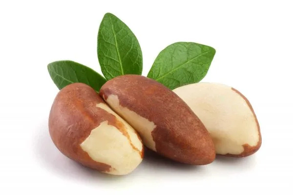 Brazillian Nut | Premium Jumbo Brazil Nuts - Image 2